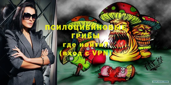 ALPHA PVP Богородицк