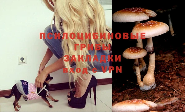 дурь Наволоки