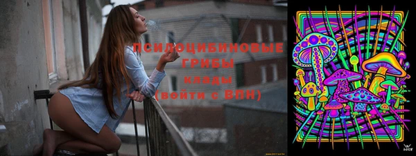 дурь Наволоки