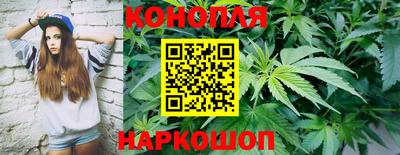 трава Гусиноозёрск