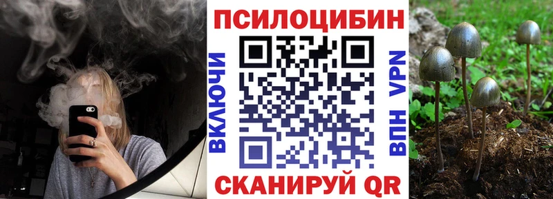 цена наркотик  Каспийск  Псилоцибиновые грибы мухоморы 