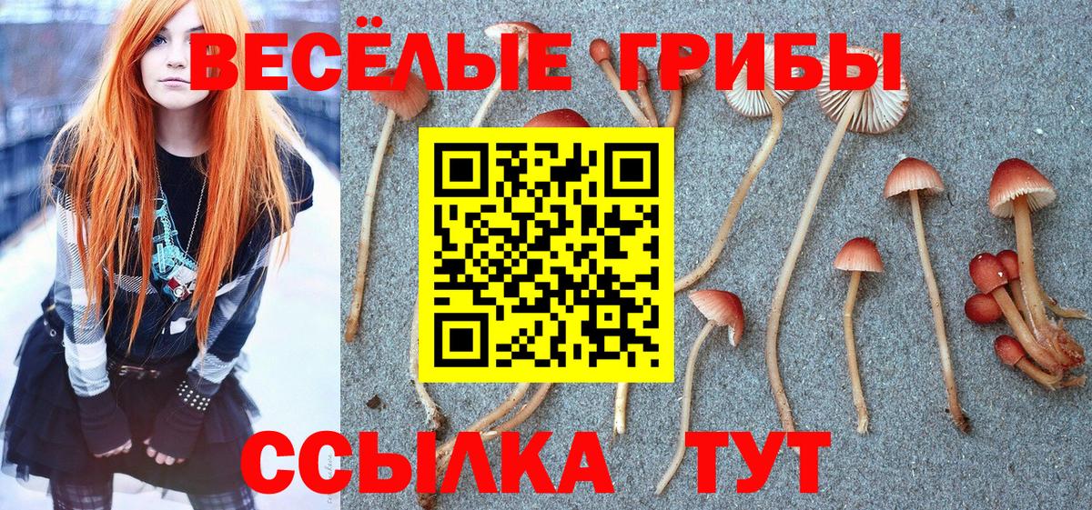Каспийск  Псилоцибиновые грибы ЛСД  Вход с VPN 