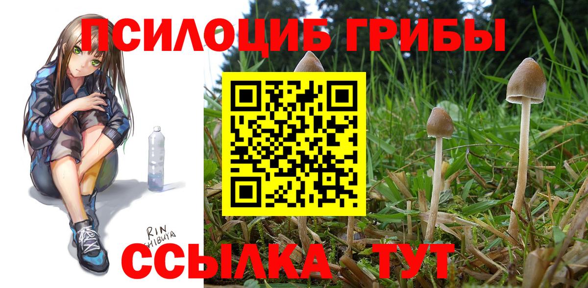 Галлюциногенные грибы мухоморы Каспийск