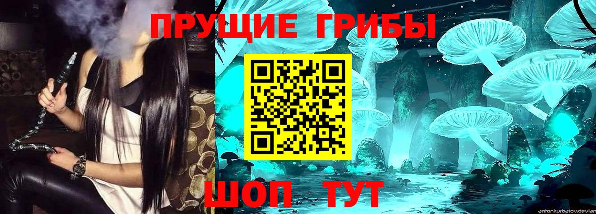 Псилоцибиновые грибы MAGIC MUSHROOMS  Каспийск 